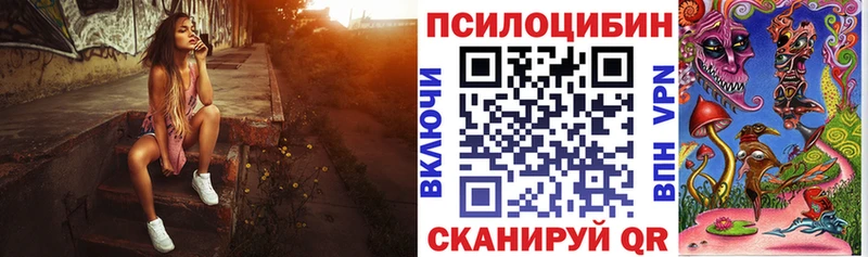 купить закладку  Буинск  Галлюциногенные грибы прущие грибы 